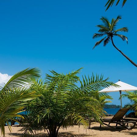 Club Santana Beach & Resort Eksteriør bilde
